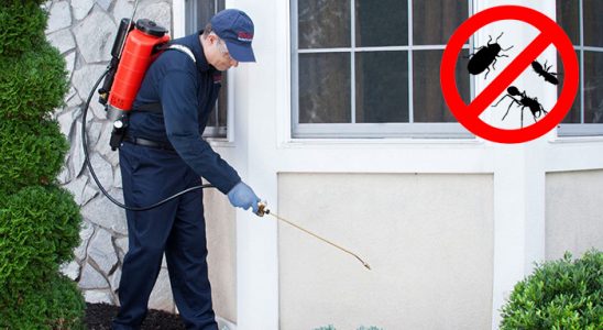 Pervari Akrep İlaçlama böcek ilaçlama ve haşere kontrolü — ilaclama-tr.com